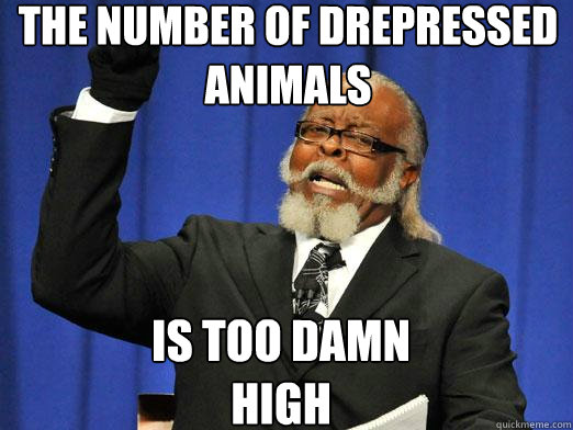 The number of drepressed animals Is too damn high  the rent is to dam high