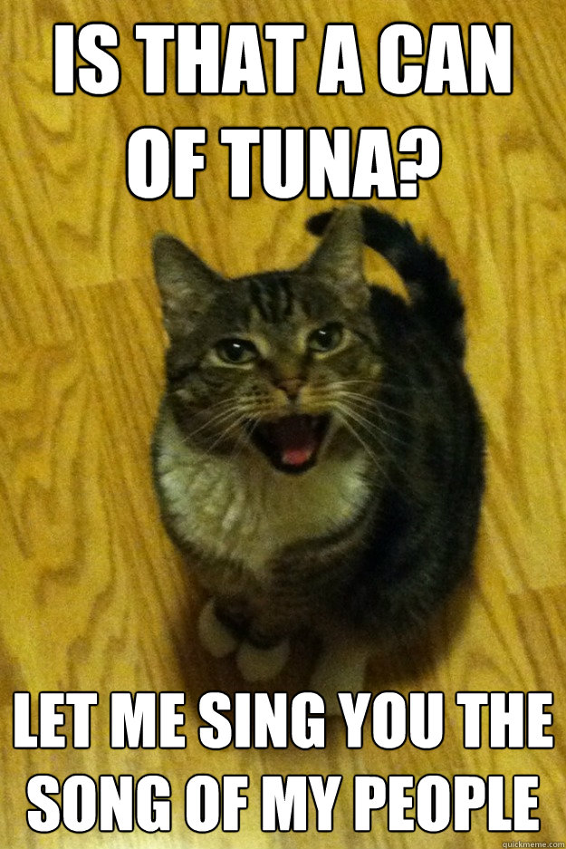 Is that a can of Tuna? Let me sing you the song of my people - Is that a can of Tuna? Let me sing you the song of my people  Loud Cat