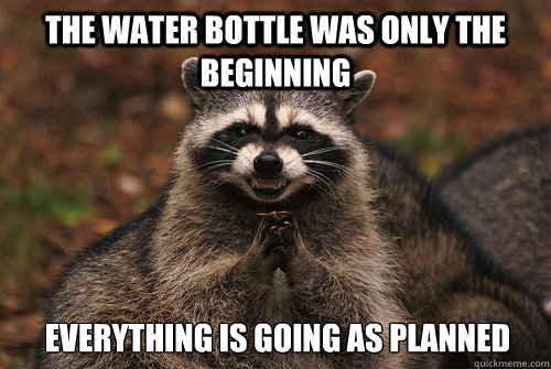 The water bottle was only the beginning Everything is going as planned  Insidious Racoon 2