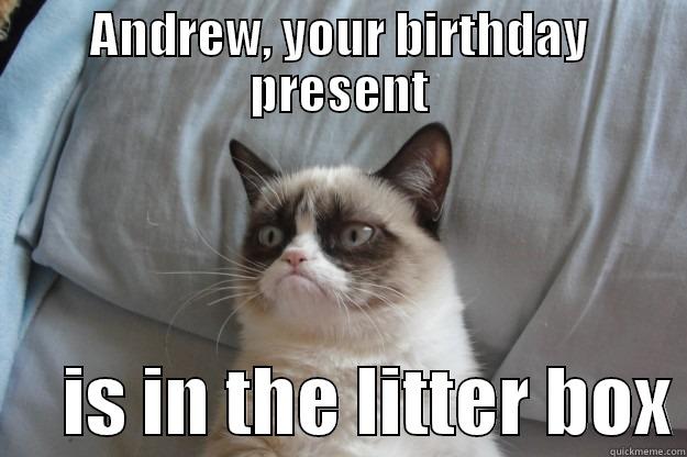ANDREW, YOUR BIRTHDAY PRESENT      IS IN THE LITTER BOX Grumpy Cat