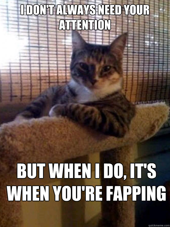 I don't always need your attention But when I do, it's when you're fapping - I don't always need your attention But when I do, it's when you're fapping  Misc