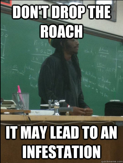 don't drop the roach it may lead to an infestation  Rasta Science Teacher