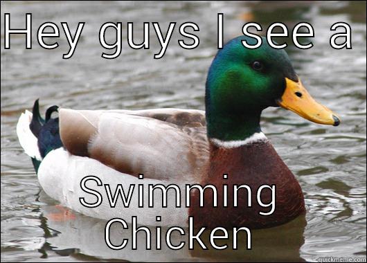 HEY GUYS I SEE A  SWIMMING CHICKEN Actual Advice Mallard