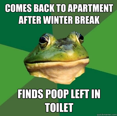 Comes back to apartment after winter break finds poop left in toilet  Foul Bachelor Frog