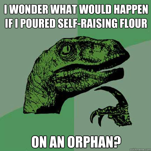 I wonder what would happen if I poured self-raising flour on an orphan? - I wonder what would happen if I poured self-raising flour on an orphan?  Philosoraptor