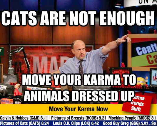 cats are not enough move your karma to animals dressed up  Mad Karma with Jim Cramer