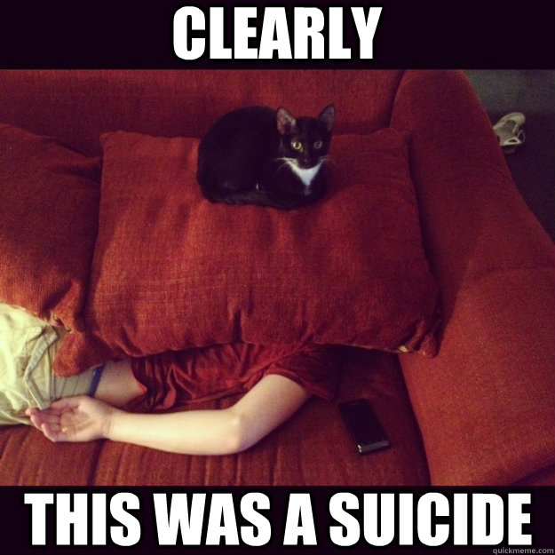 Clearly This was a suicide - Clearly This was a suicide  jealous cat