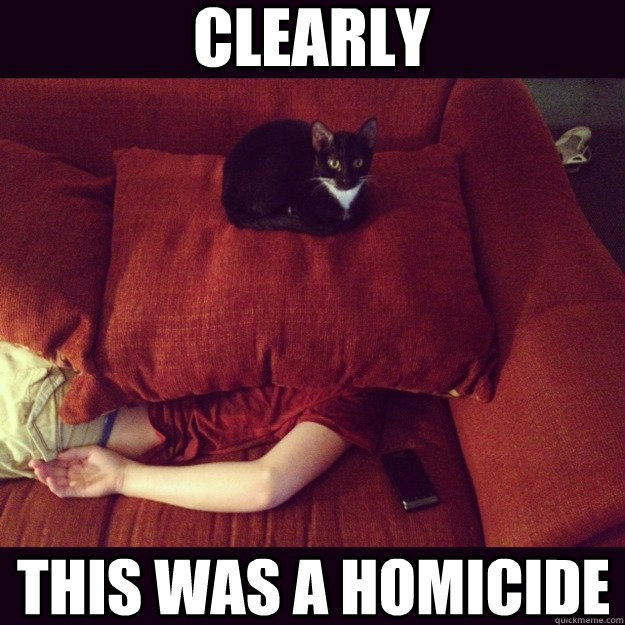 Clearly This was a homicide   jealous cat