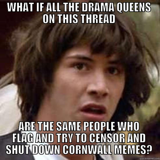 Conspiracy Keanu - Cornwall drama - WHAT IF ALL THE DRAMA QUEENS ON THIS THREAD ARE THE SAME PEOPLE WHO FLAG AND TRY TO CENSOR AND SHUT DOWN CORNWALL MEMES? conspiracy keanu