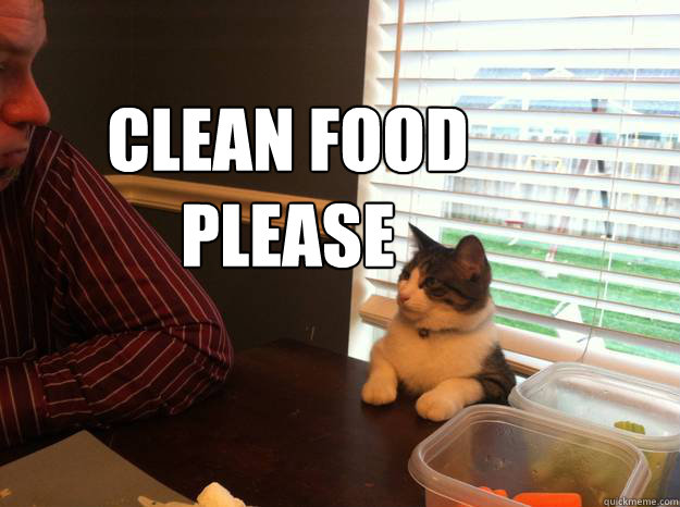 CLEAN FOOD PLEASE - CLEAN FOOD PLEASE  Fight Club Cat