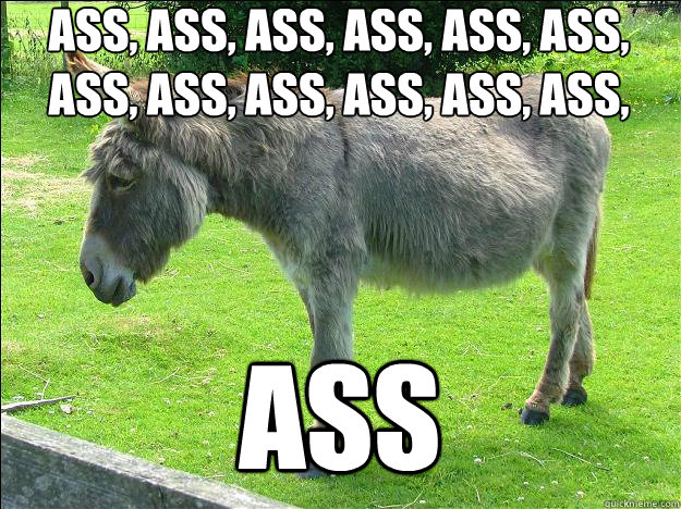 ass, ass, ass, ass, ass, ass, ass, ass, ass, ass, ass, ass, ass, ass, ass, ass, ass, ass ass  Donkey