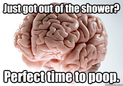 Just got out of the shower? Perfect time to poop.    Scumbag Brain