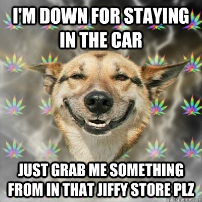 i'm down for staying in the car just grab me something from in that jiffy store plz  Stoner Dog