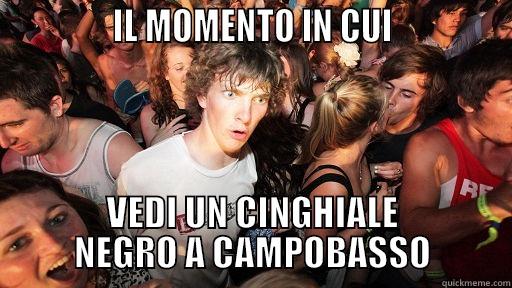              IL MOMENTO IN CUI              VEDI UN CINGHIALE NEGRO A CAMPOBASSO Sudden Clarity Clarence