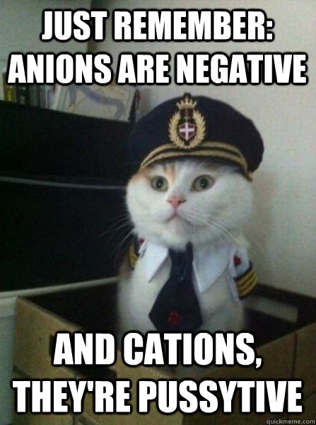 just remember: anions are negative and cations, they're pussytive - just remember: anions are negative and cations, they're pussytive  Captain kitteh