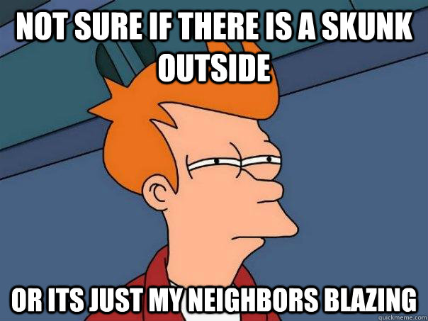 Not sure if there is a skunk outside Or its just my neighbors blazing  Futurama Fry