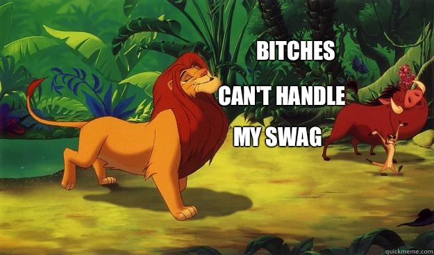 BITCHES CAN'T HANDLE MY SWAG  