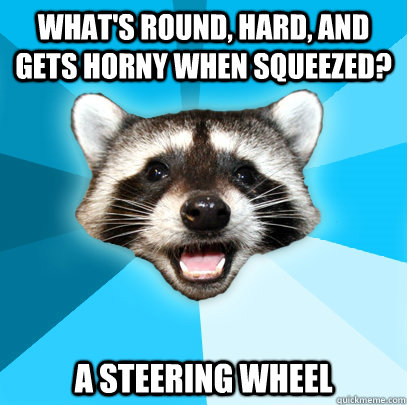 What's round, hard, and gets horny when squeezed? A steering wheel  Lame Pun Coon
