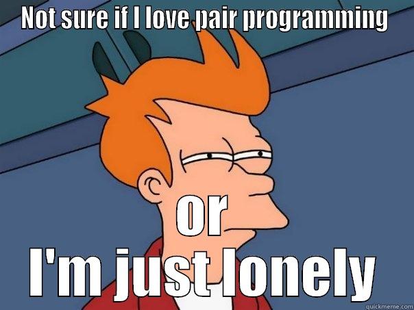 NOT SURE IF I LOVE PAIR PROGRAMMING OR I'M JUST LONELY Futurama Fry