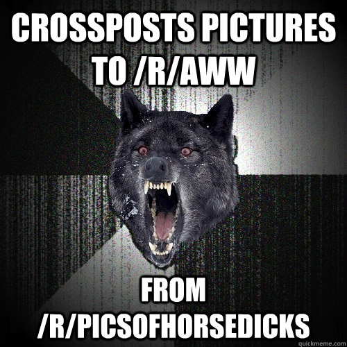 crossposts pictures to /r/aww from /r/PicsOfHorseDicks  Insanity Wolf