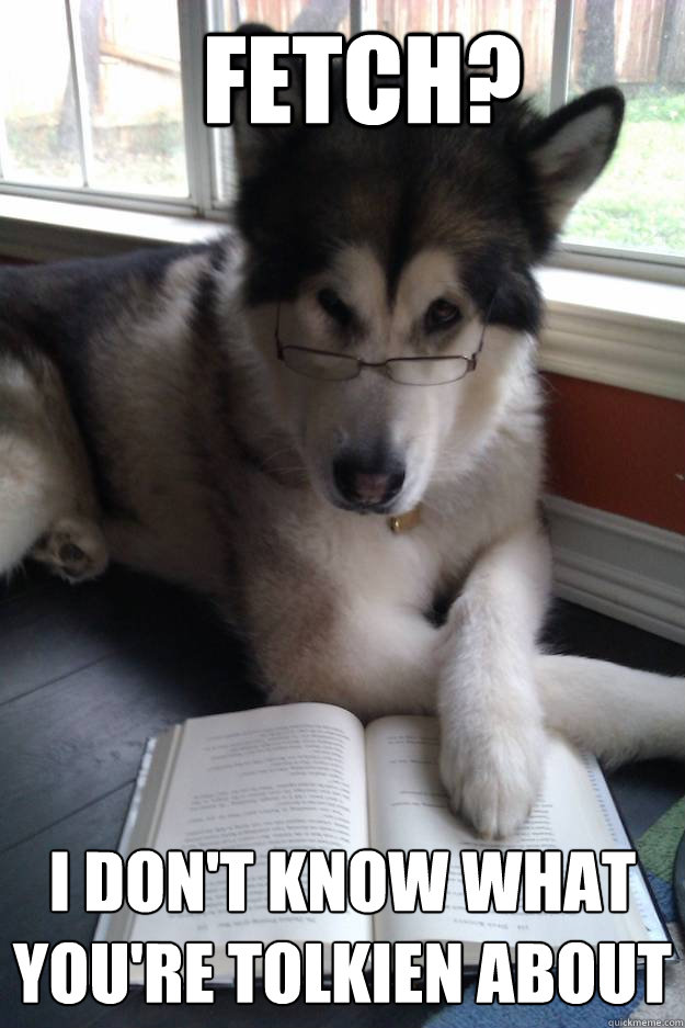 Fetch? I don't know what you're Tolkien about  Condescending Literary Pun Dog