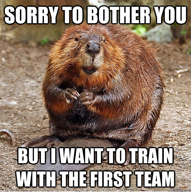 Sorry to bother you but i want to train with the first team - Sorry to bother you but i want to train with the first team  Apologetic beaver