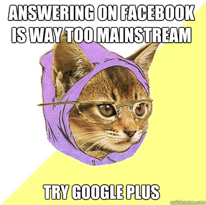 ANSWERING ON FACEBOOK IS WAY TOO MAINSTREAM TRY GOOGLE PLUS   Hipster Kitty