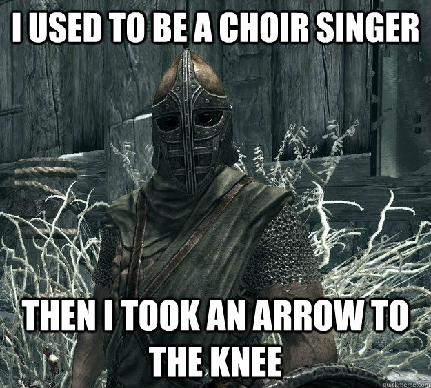 I used to be a choir singer Then i took an arrow to the knee  Skyrim Guard