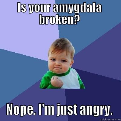 IS YOUR AMYGDALA BROKEN? NOPE. I'M JUST ANGRY. Success Kid