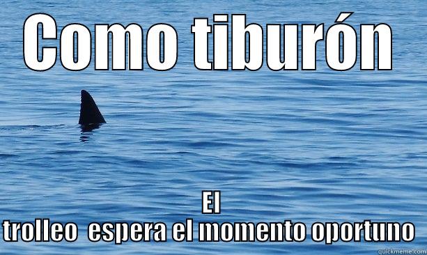 COMO TIBURÓN EL TROLLEO  ESPERA EL MOMENTO OPORTUNO  Misc