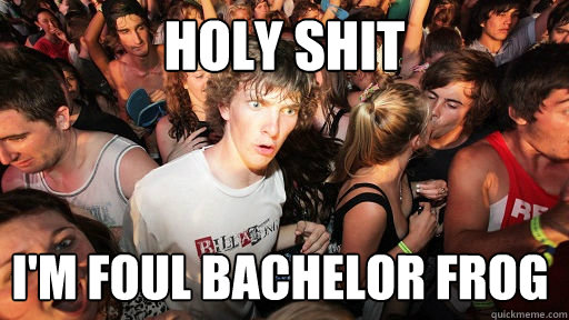 holy shit i'm foul bachelor frog  Sudden Clarity Clarence