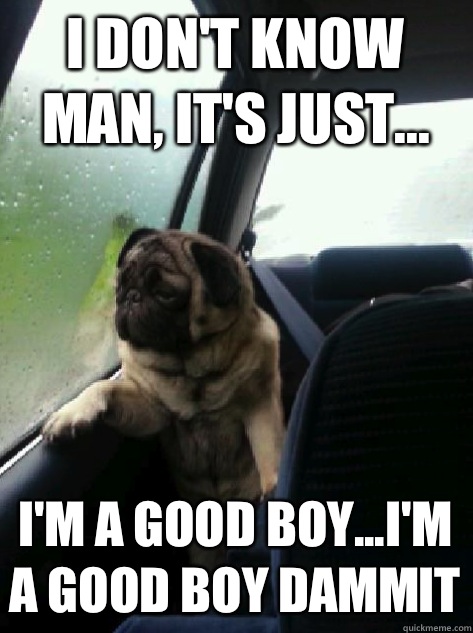 I don't know man, it's just... I'm a good boy...I'm a good boy dammit  Introspective Pug