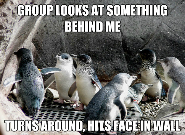 Group looks at something behind me Turns around, hits face in wall  Socially Awkward Penguin