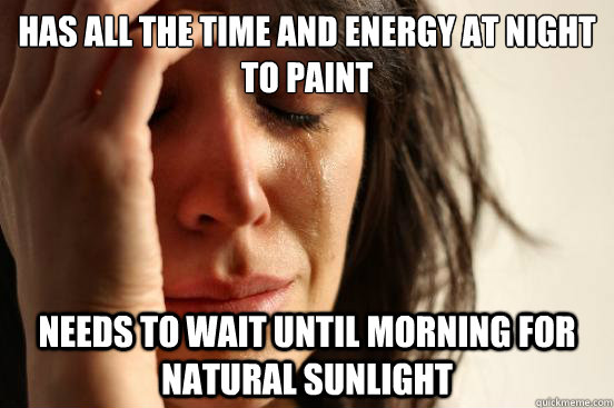 Has all the time and energy at night to paint needs to wait until morning for natural sunlight  First World Problems
