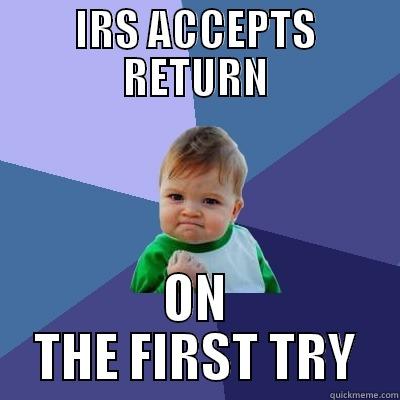 Doing Taxes - IRS ACCEPTS RETURN ON THE FIRST TRY Success Kid