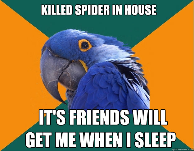 Killed spider in house it's friends will get me when I sleep  Paranoid Parrot