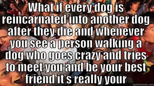 WHAT IF EVERY DOG IS REINCARNATED INTO ANOTHER DOG AFTER THEY DIE AND WHENEVER YOU SEE A PERSON WALKING A DOG WHO GOES CRAZY AND TRIES TO MEET YOU AND BE YOUR BEST FRIEND IT’S REALLY YOUR CHILDHOOD DOG TRYING TO TELL YOU HE KNOWS AND MISSES YOU??  Sudden Clarity Clarence