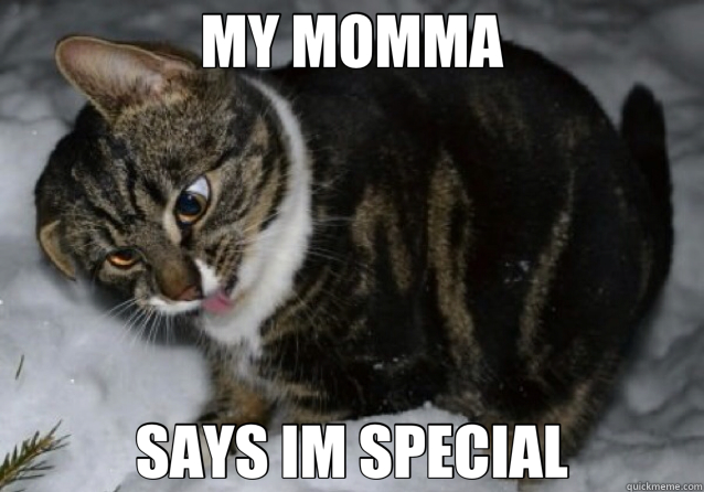 MY MOMMA SAYS IM SPECIAL  Retarded Cat