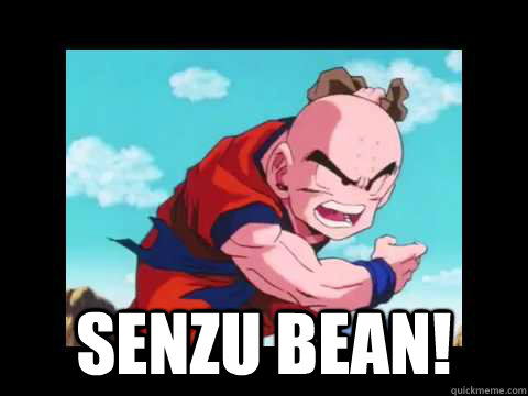  SENZU BEAN!  abridged senzu bean
