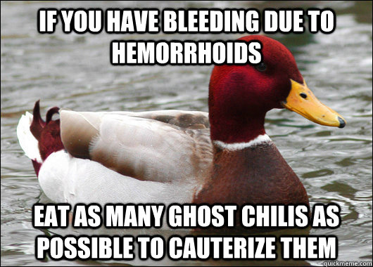If you have bleeding due to hemorrhoids Eat as many ghost chilis as possible to cauterize them  Malicious Advice Mallard
