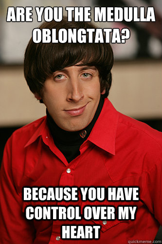 Are you the medulla oblongtata? because you have control over my heart  Howard Wolowitz