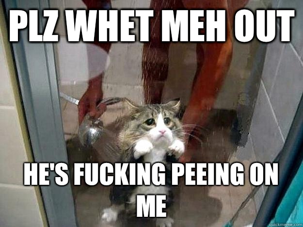 Plz whet meh out He's fucking peeing on me  Shower kitty