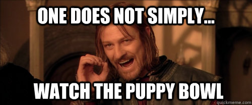 One does not simply... watch the puppy bowl  Mordor