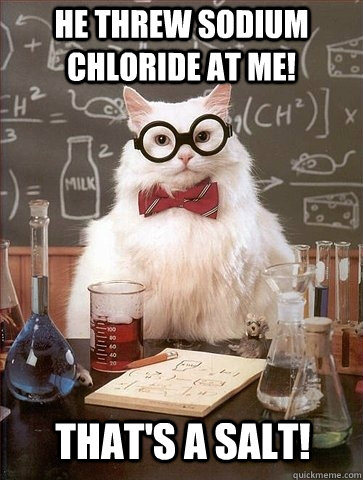He threw sodium chloride at me! That's a salt!  Chemistry Cat