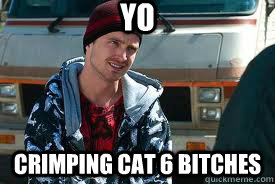 Yo Crimping Cat 6 Bitches  