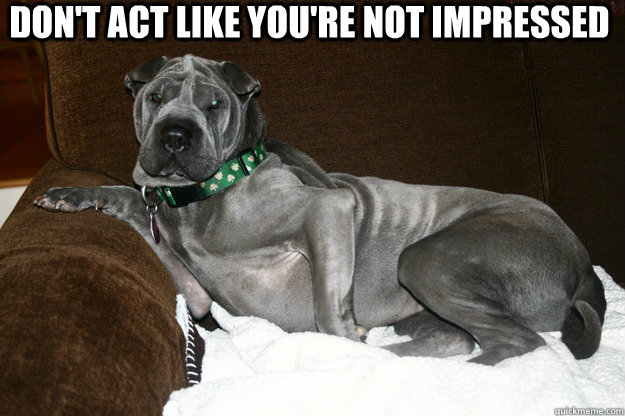 Don't act like you're not impressed   