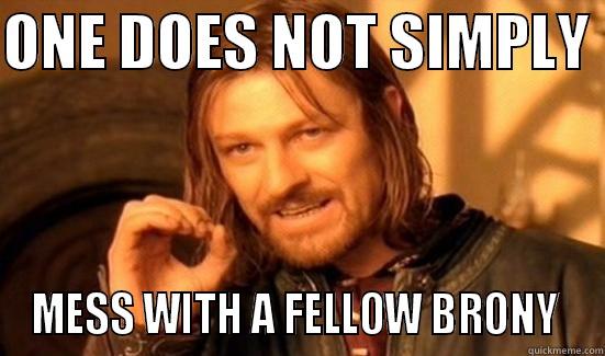 ONE DOES NOT SIMPLY  MESS WITH A FELLOW BRONY  Boromir