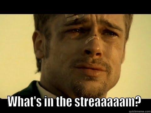  WHAT'S IN THE STREAAAAAM? Misc