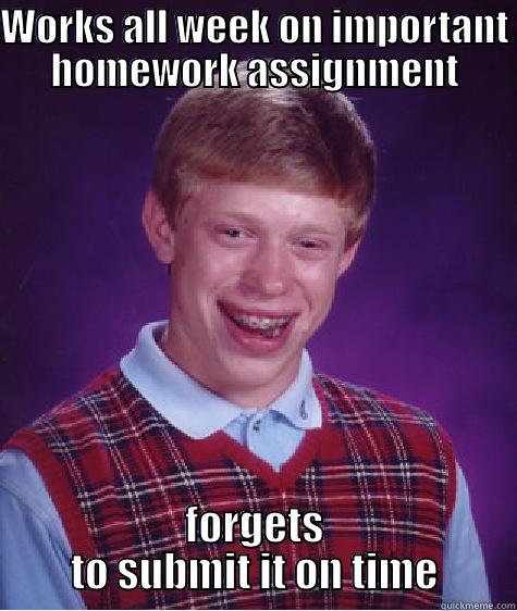 WORKS ALL WEEK ON IMPORTANT HOMEWORK ASSIGNMENT FORGETS TO SUBMIT IT ON TIME Bad Luck Brian