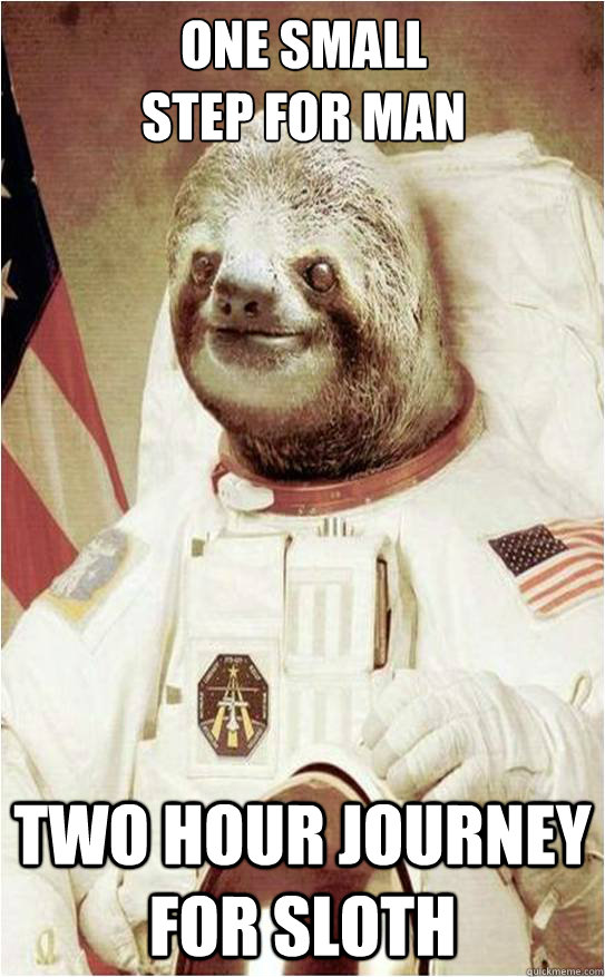 One small 
step for man two hour journey for sloth  